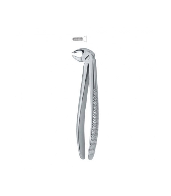 Tooth Ext Forceps 12-100-07