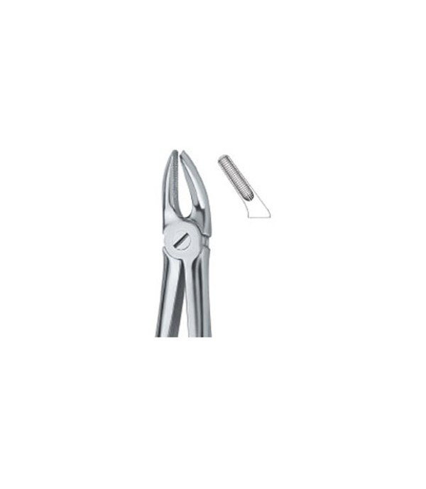 Tooth Ext Forceps Bicuspids 7   12-100-05  