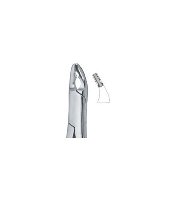 Tooth Ext Forceps Amr Bicuspids and Incisors Ref:600/150 / ND 