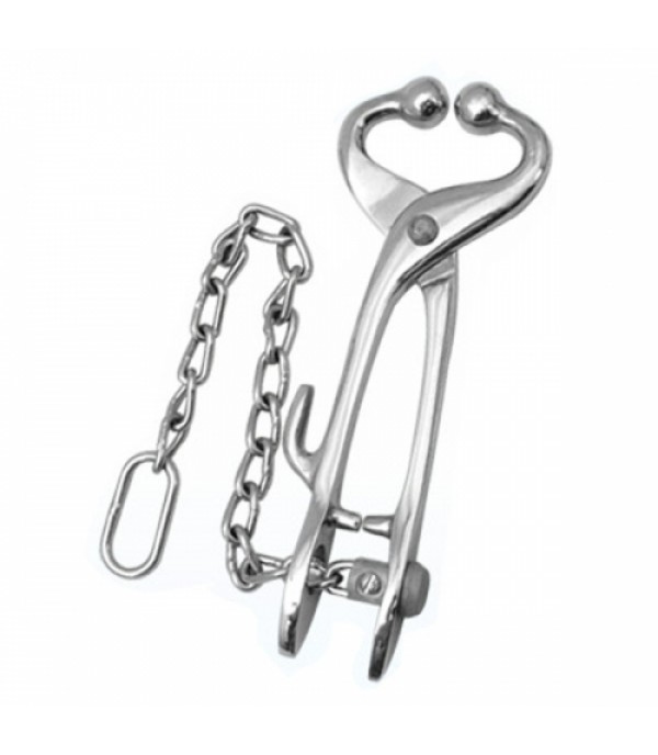 Bull Leader  with Hook And Chain