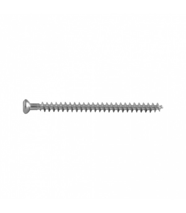 Cancellous Screw