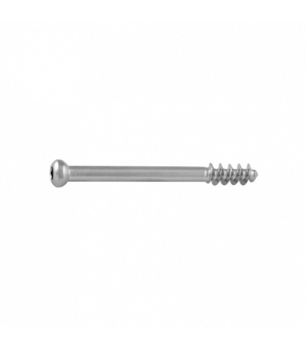 Cancellous Screw