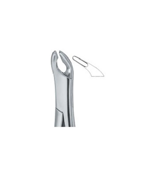Tooth Ext Forceps Amr Cryer Bicuspids Ref:600150/1 Cryer 