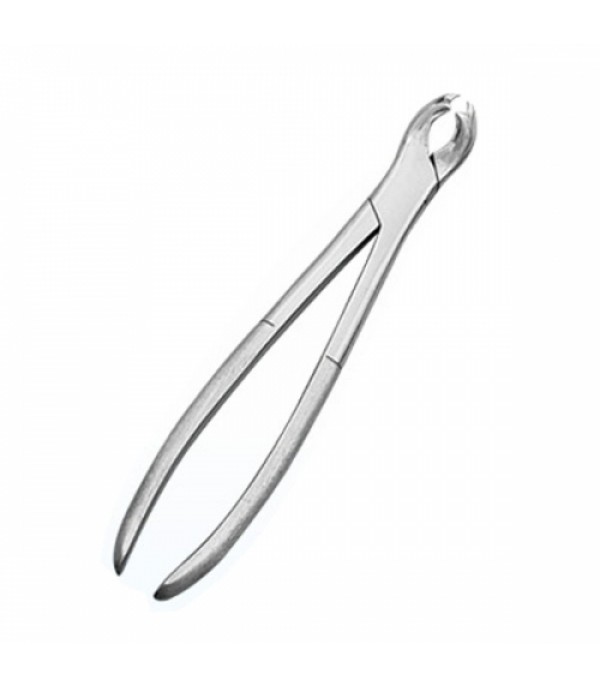 Gowing Tooth Forceps (SS)