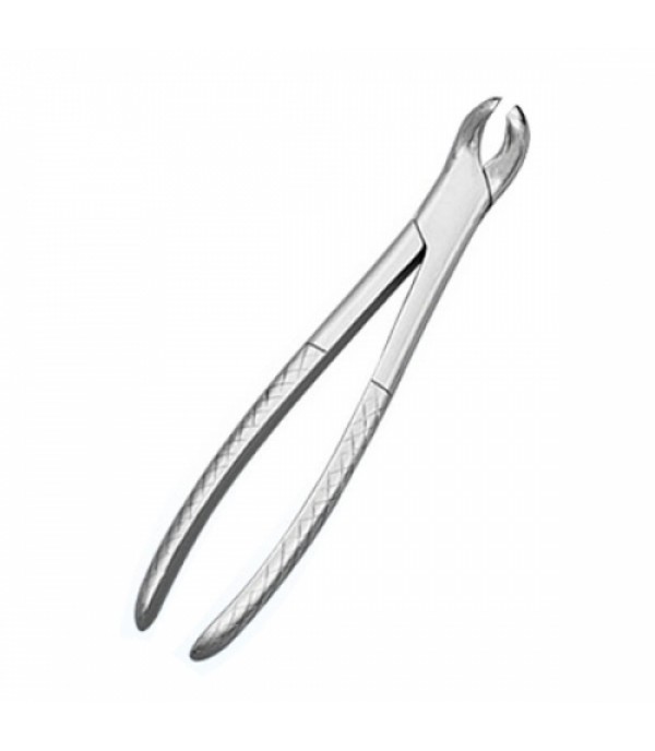 Growing Tooth Forceps (SS)