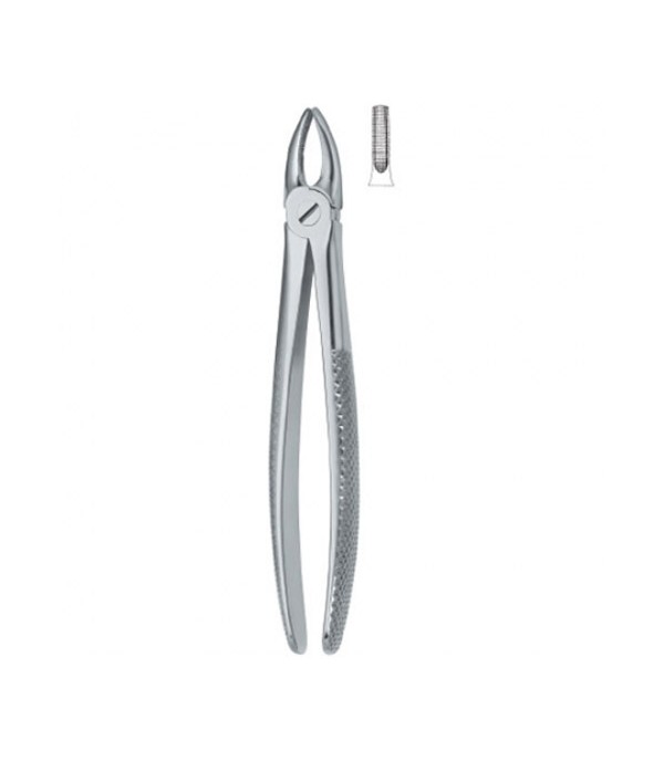 Tooth Ext Forceps Incisors and Bicuspids 1,12-100-01