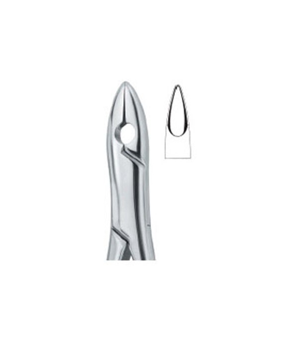Tooth Ext Forceps Amr Incisors and Bicuspids 1 Ref:600/99 C Kells 