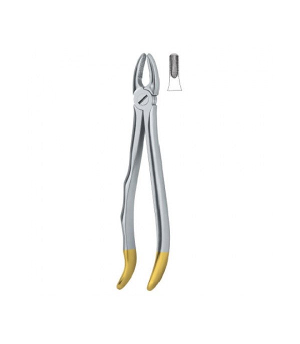 Tooth Ext Forceps Incisors and Cuspids 1 ,12-100-10  