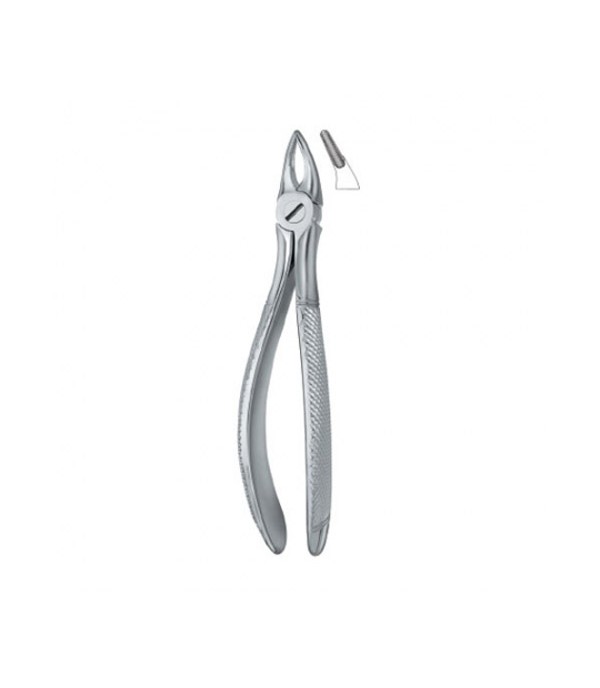 Tooth Ext Forceps Incisors and Roots 30S   12-100-24