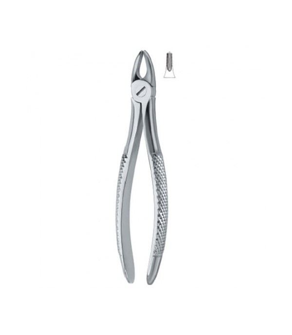 Tooth Ext Forceps Incisors and bicuspids 37  ,   12-100-32