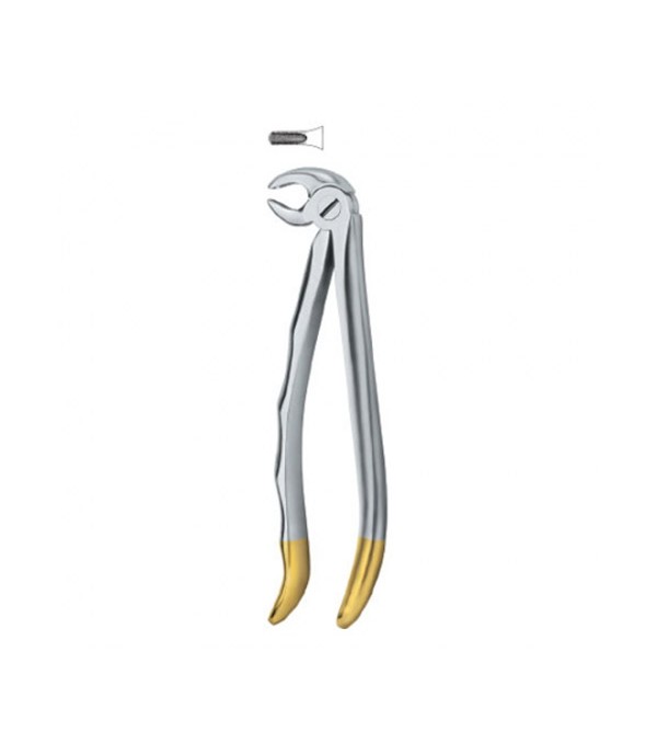 Tooth Ext Forceps Incisors and cuspids 13 12-100-17 