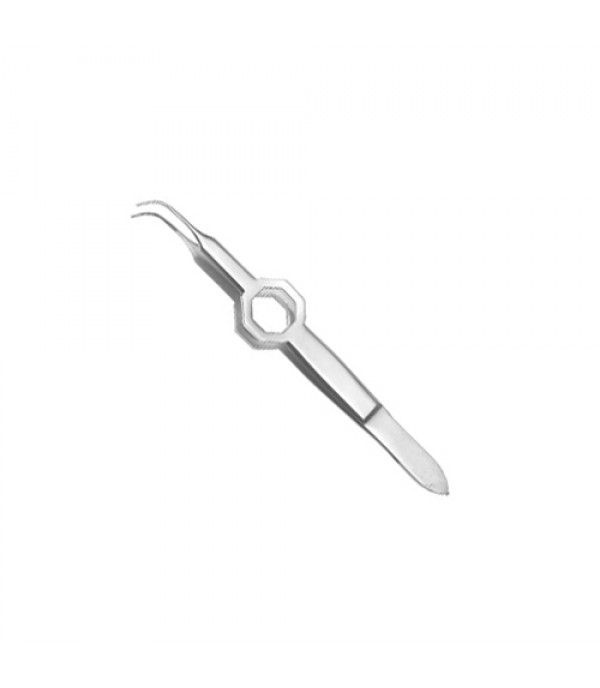 Micro Dissecting Forceps