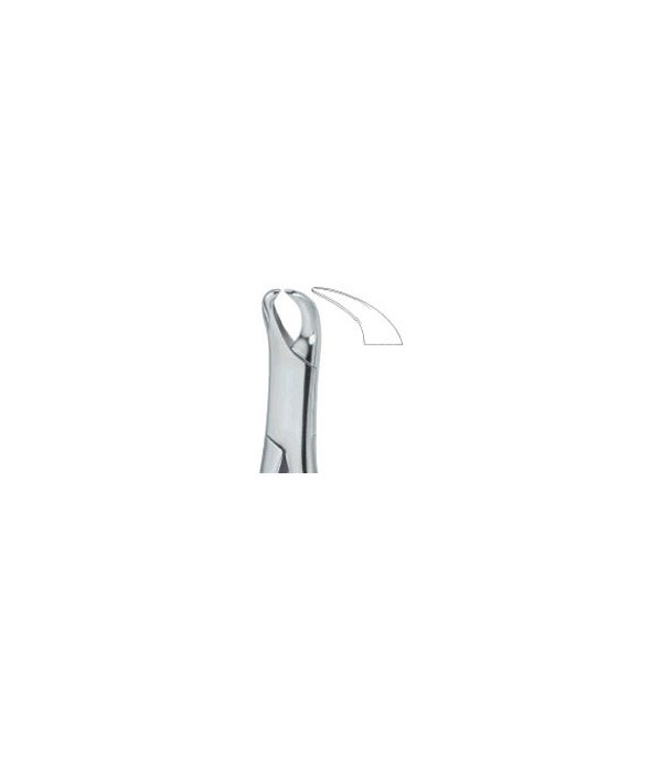 Tooth Ext Forceps Amr Molars , Slender Jaw Ref: 600 / 16 SL 