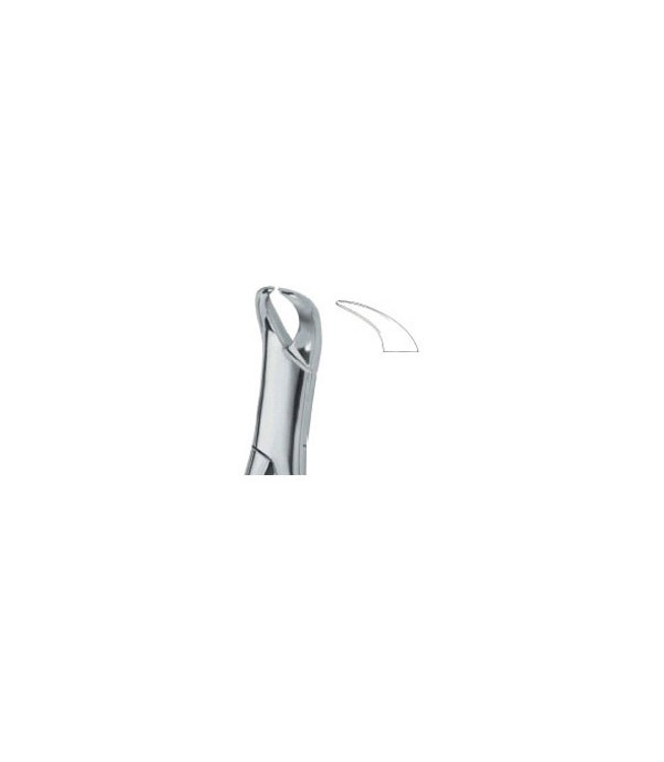 Tooth Ext Forceps Amr Molars 16  Ref:600 /16  