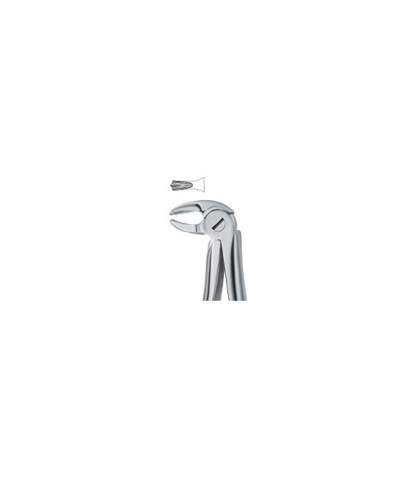 Tooth Ext Forceps Molars 22s  , 12-100-17