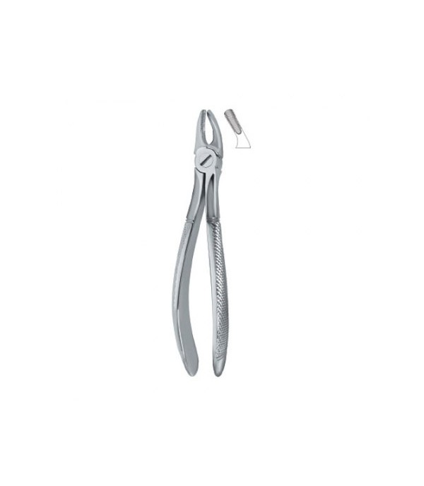 Tooth Ext Forceps Molars 39 ,  12 -100-34