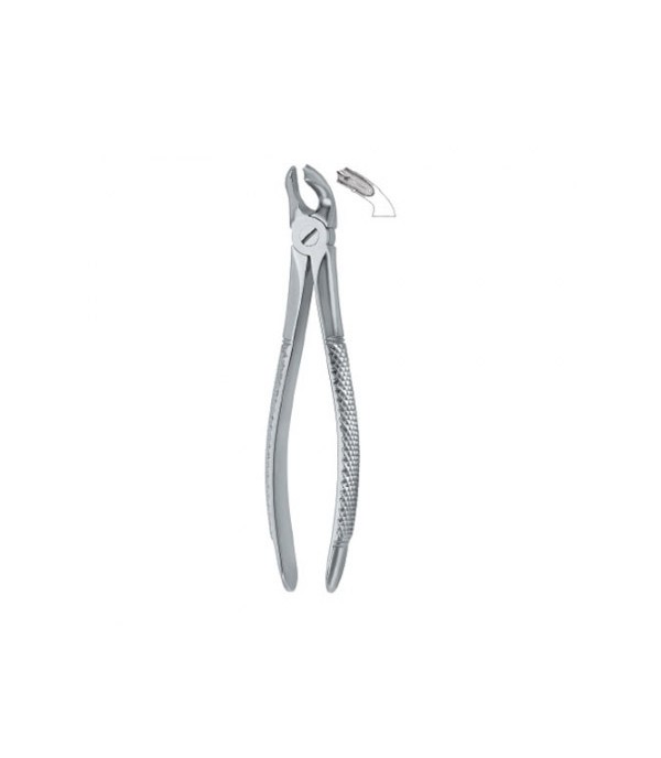 Tooth Ext Forceps Molars 40 ,  12-100-38