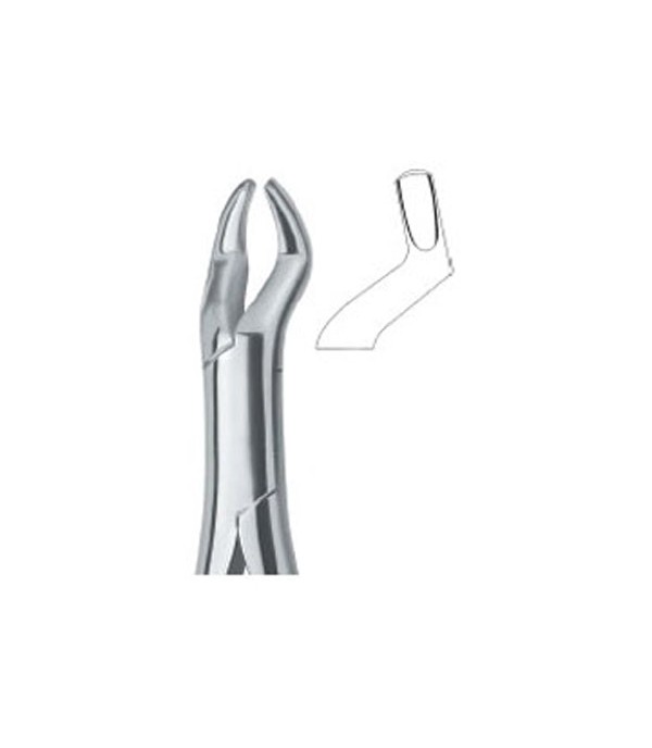 Tooth Ext Forceps Amr Molars and third molars 10S  Ref:600/53 R 
