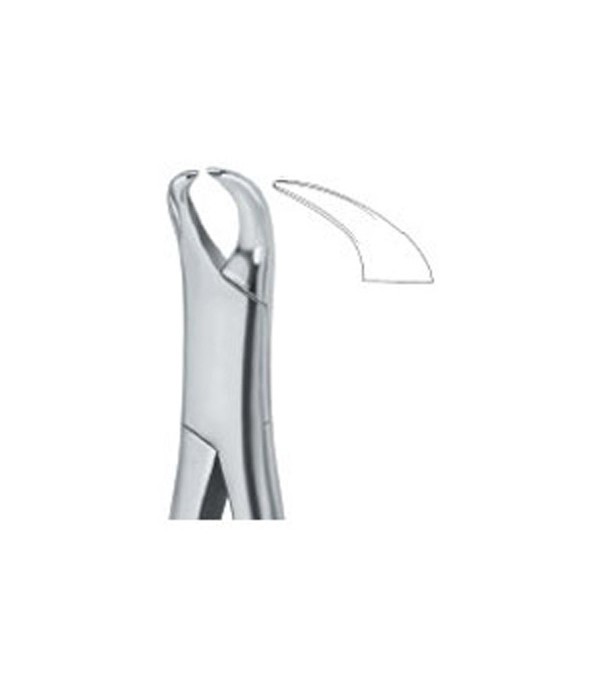 Tooth Ext Forceps Amr Molars  Ref:600/18 