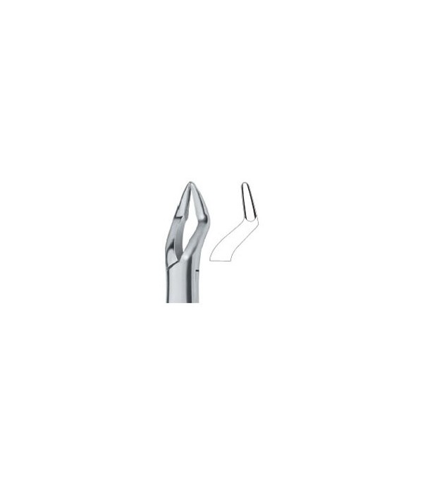 Tooth Ext Forceps Amr Parmly Molars and Bicuspids Ref:600/286/B  
