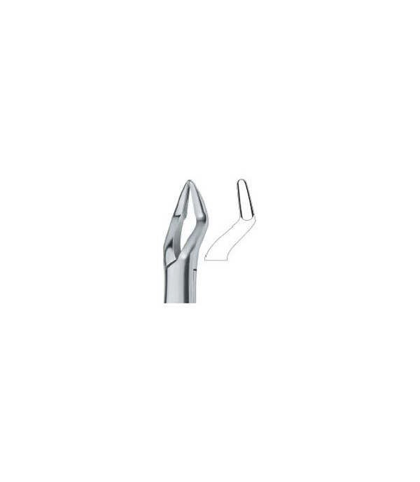 Tooth Ext Forceps Amr Parmly Molars and bicuspids 32 Ref:600/286 