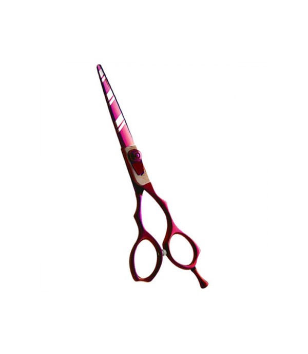 Professional Hair Cutting Scissors