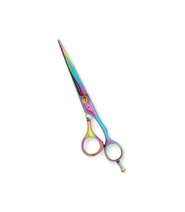 Professional Hair Cutting Scissors