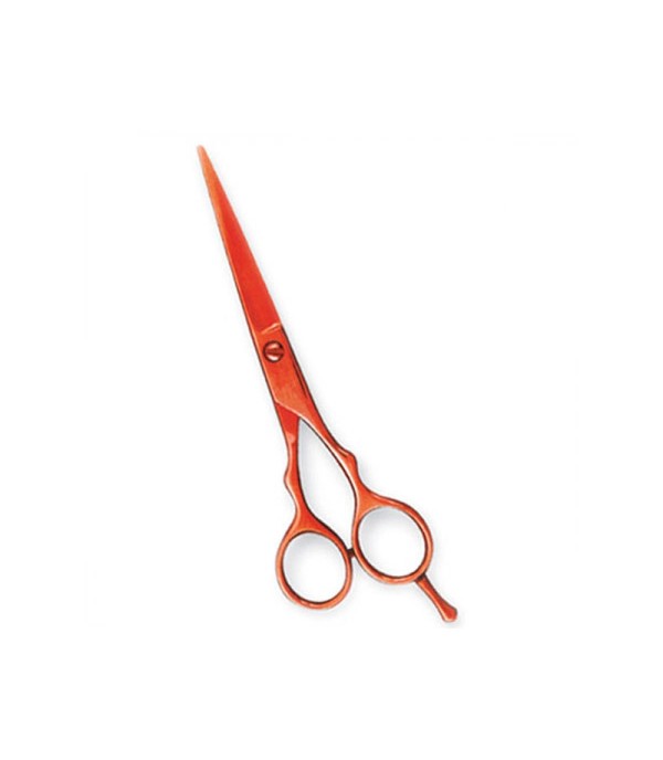 Professional Hair Cutting Scissors