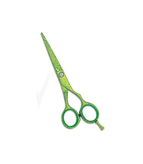 Professional Hair Cutting Scissors