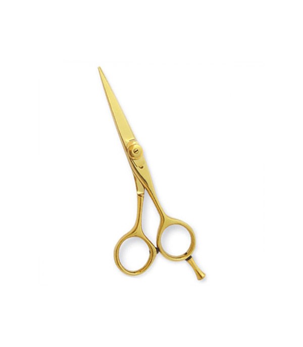 Professional Hair Cutting Scissors