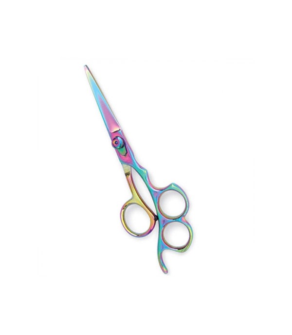 Professional Hair Cutting Scissors