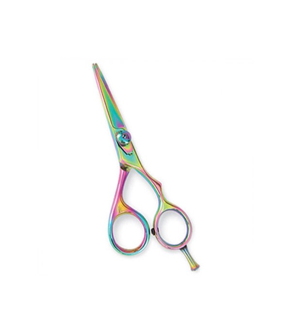 Professional Hair Cutting Scissors