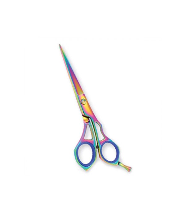 Professional Hair Cutting Scissors