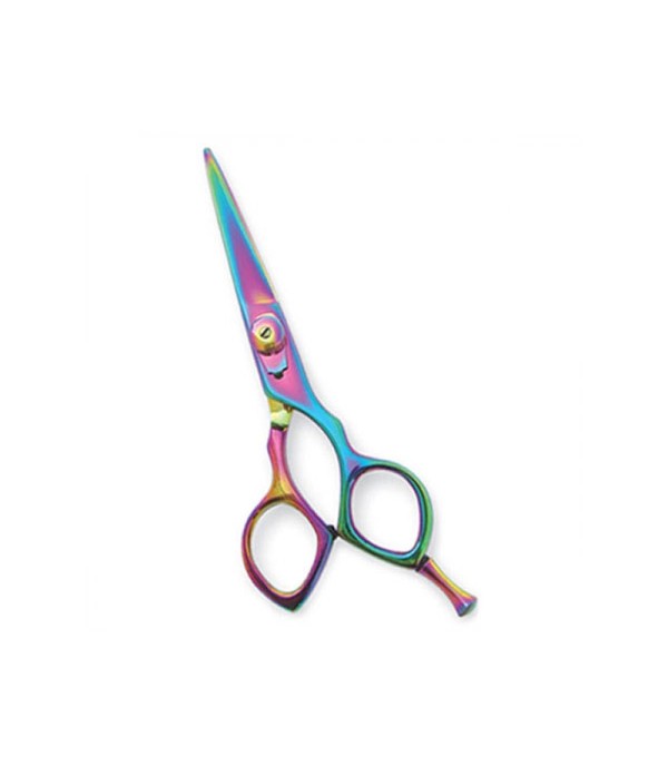 Professional Hair Cutting Scissors