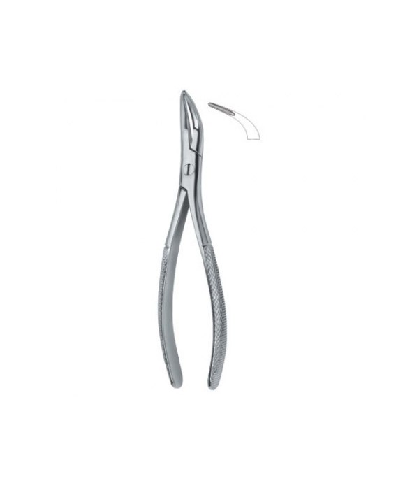 Tooth Ext Forceps Amr Root Fragments and Universal 501  Ref: 586/2 SJ/TL