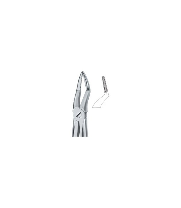 Tooth Ext Forceps Roots , With Fine Beak 51A  ,12-100- 44