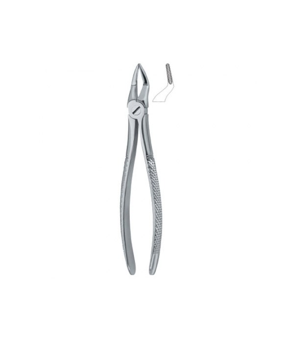 Tooth Ext Forceps Roots 51S  12-100-46