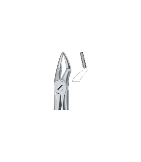 Tooth Ext Forceps Roots 51 Large  ,  12-100- 45