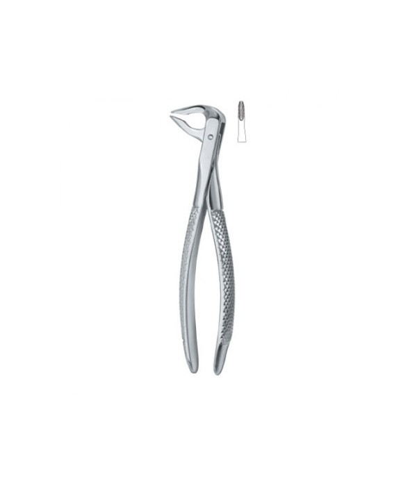 Tooth Ext Forceps