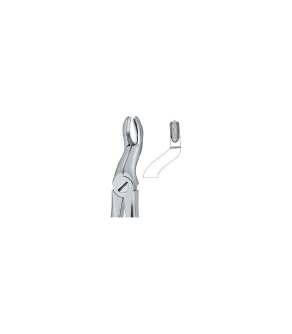 Tooth Extracting Forceps 67,  12-100-54