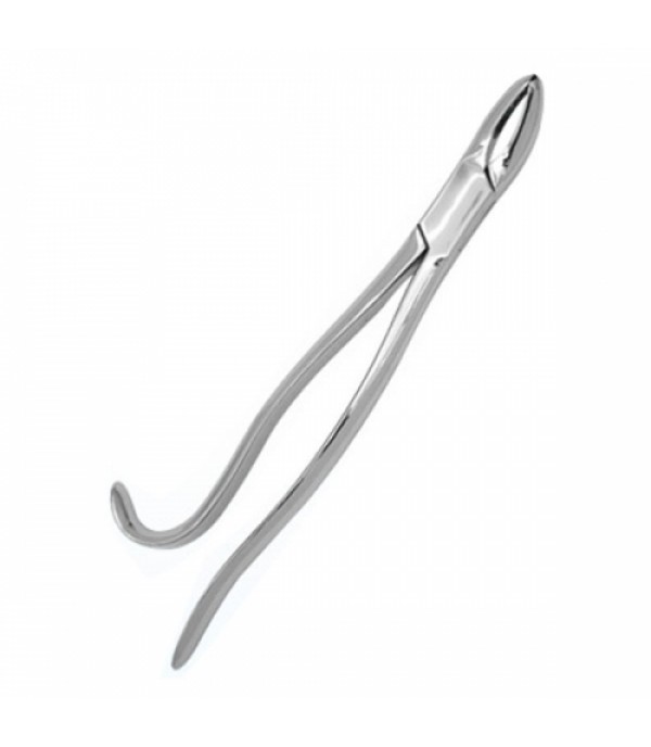 Tooth Forceps (SS)