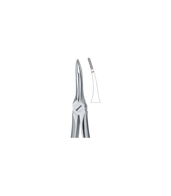 Tooth Ext Forceps Very Fine Roots 49 Ref:500/49 STR/B2